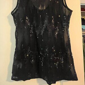 NWT Dark Navy Sheer Sparkle Top